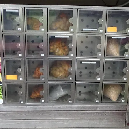 Au Coeur De L'avesnois Avec Jeux Pour Enfants - Fr-1-510-177